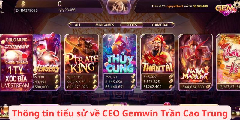 Thông tin tiểu sử về CEO Gemwin Trần Cao Trung